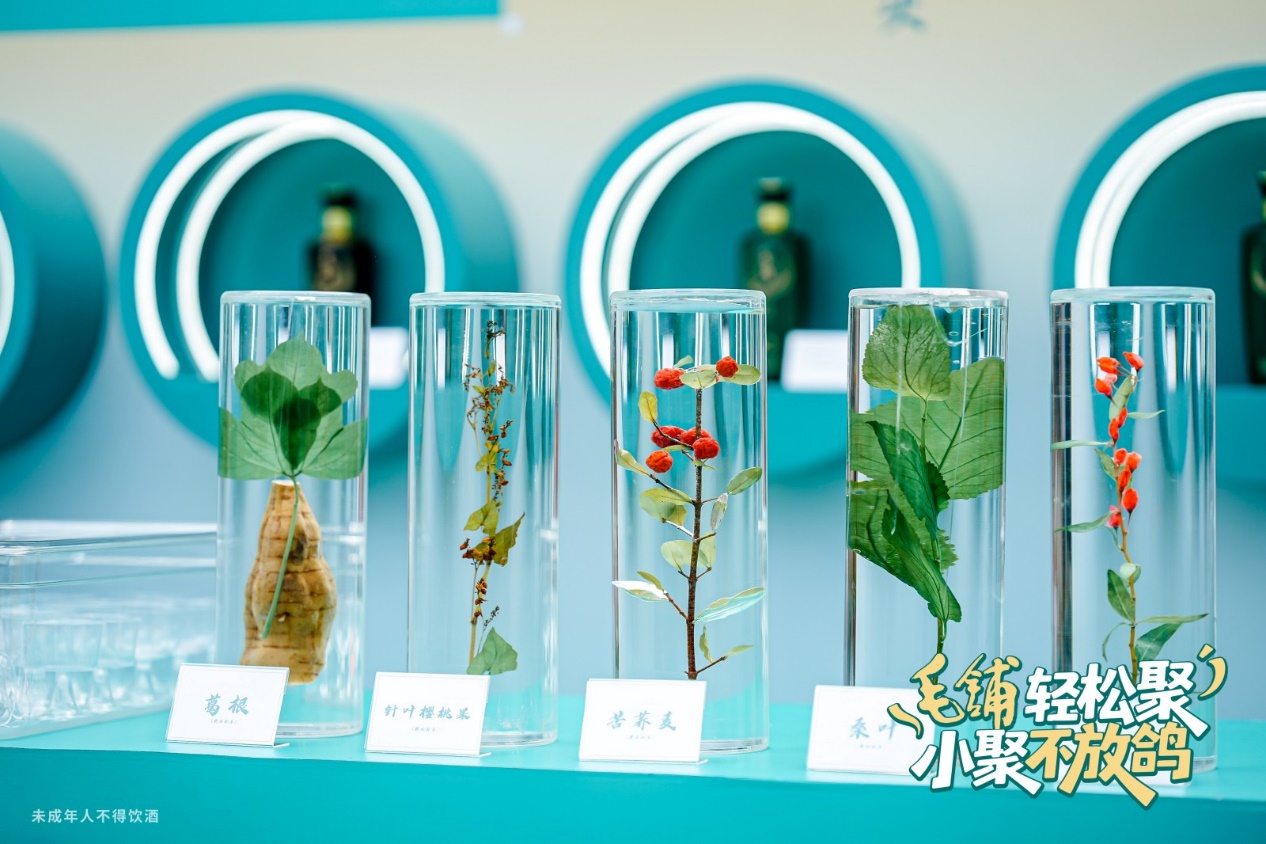 图片4 图片4